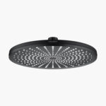 A round, black shower head with evenly distributed small nozzles.