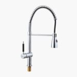 Stainless steel faucet with coiled spring neck and pull-down spray head.