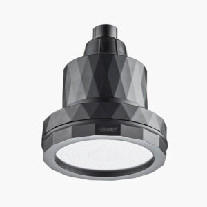 Shower head with modern geometric design, black and silver finish, LEELONGS branding, ideal for home bathroom upgrades, high-quality rain shower fixture, contemporary bathroom accessory, premium shower system, stylish and functional bathroom decor, durable and easy to install, luxurious shower experience.