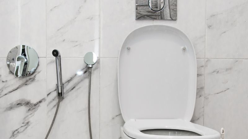 bathroom bidet shower