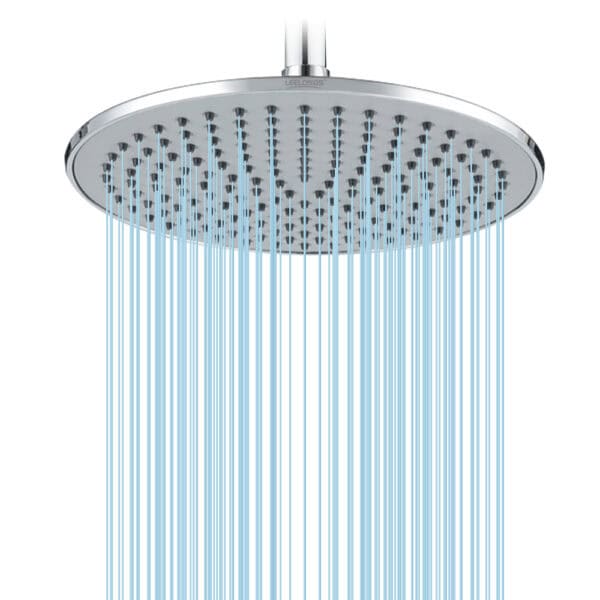 Duschkopf mit Kugelgelenk